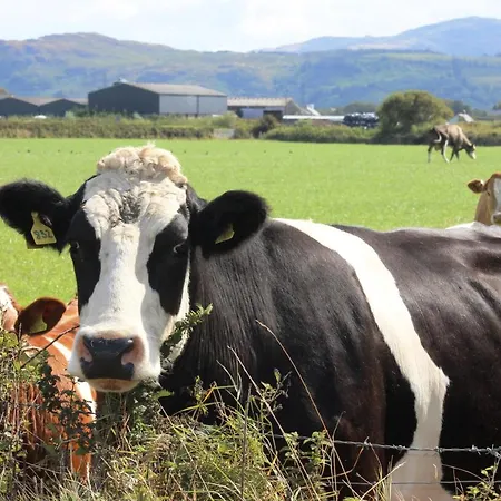 Dairy Maids 펜션 *